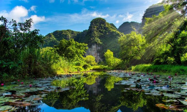 Thung Nắng Ninh Bình: Thiên đường bình yên cho tâm hồn