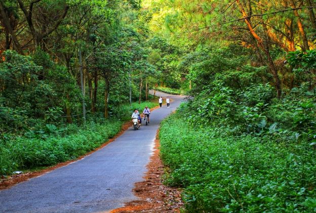 Đồi Thiên Văn: Biểu tượng lịch sử và du lịch của Hải Phòng