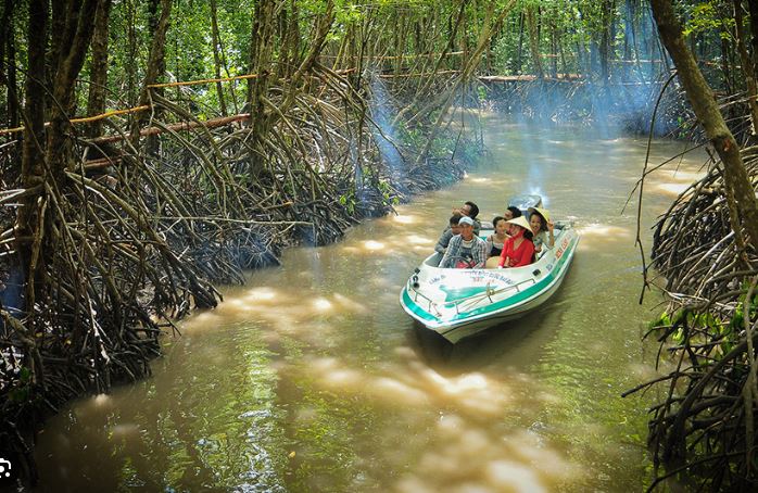 Rừng ngập mặn Cà Mau