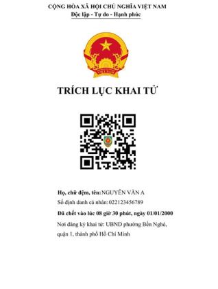 Giấy khai sinh bản trích lục có được phép đi máy bay không?